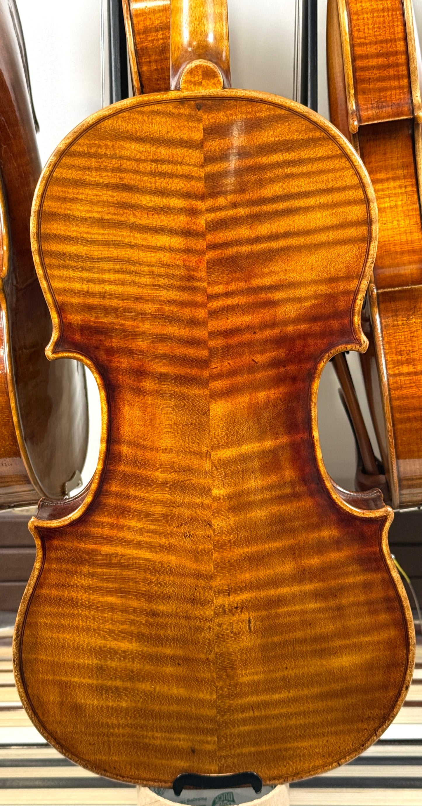 Mateo Zheng Violin