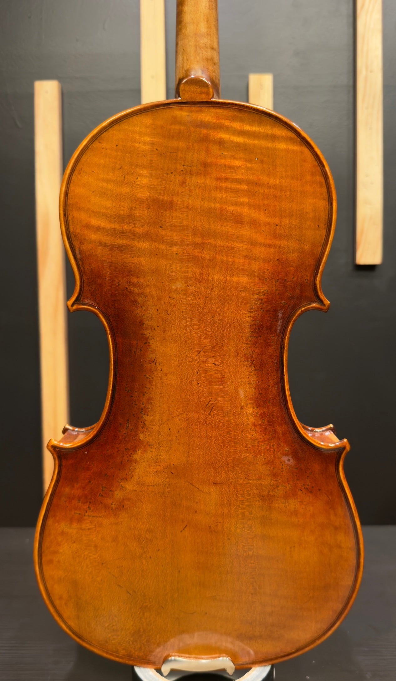 Maestro Violin Outfit
