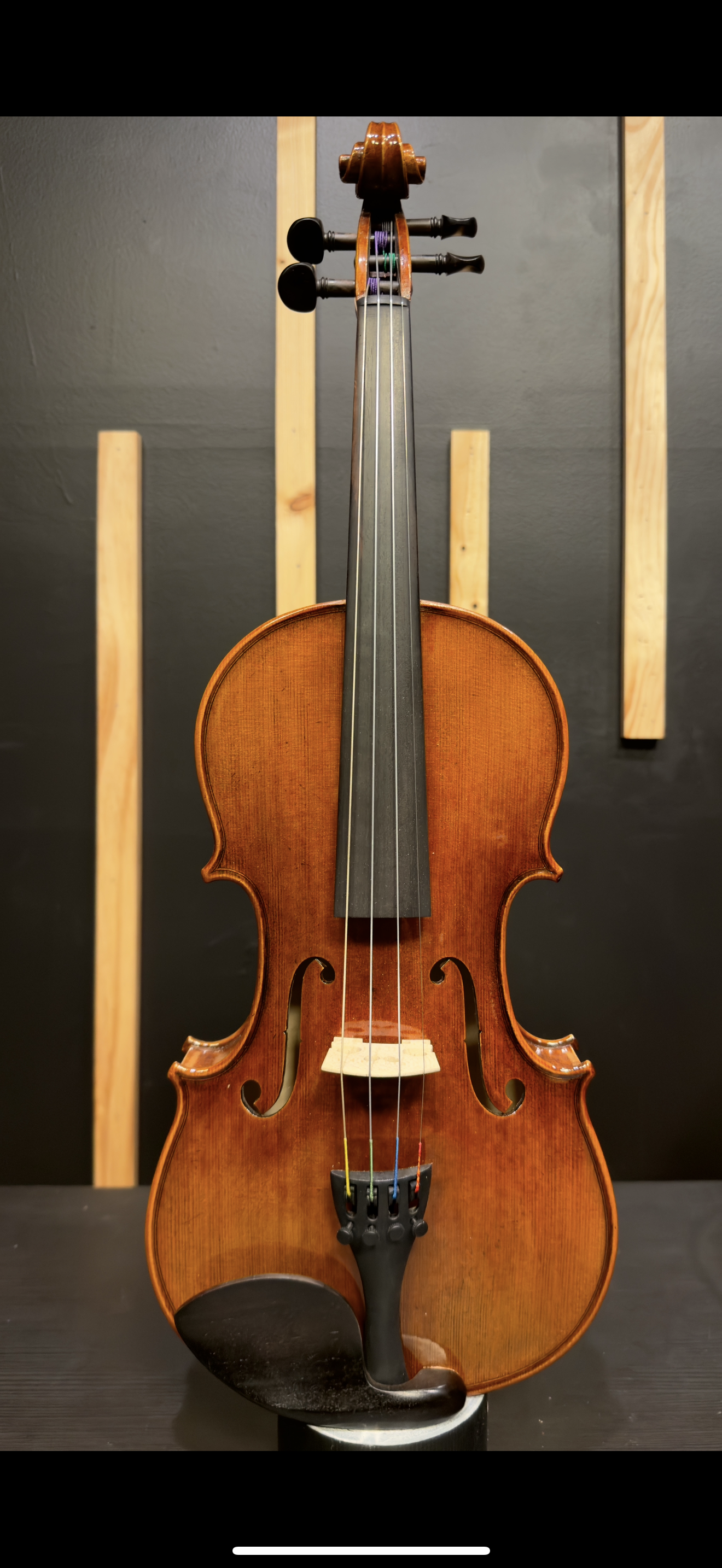 Maestro Violin Outfit