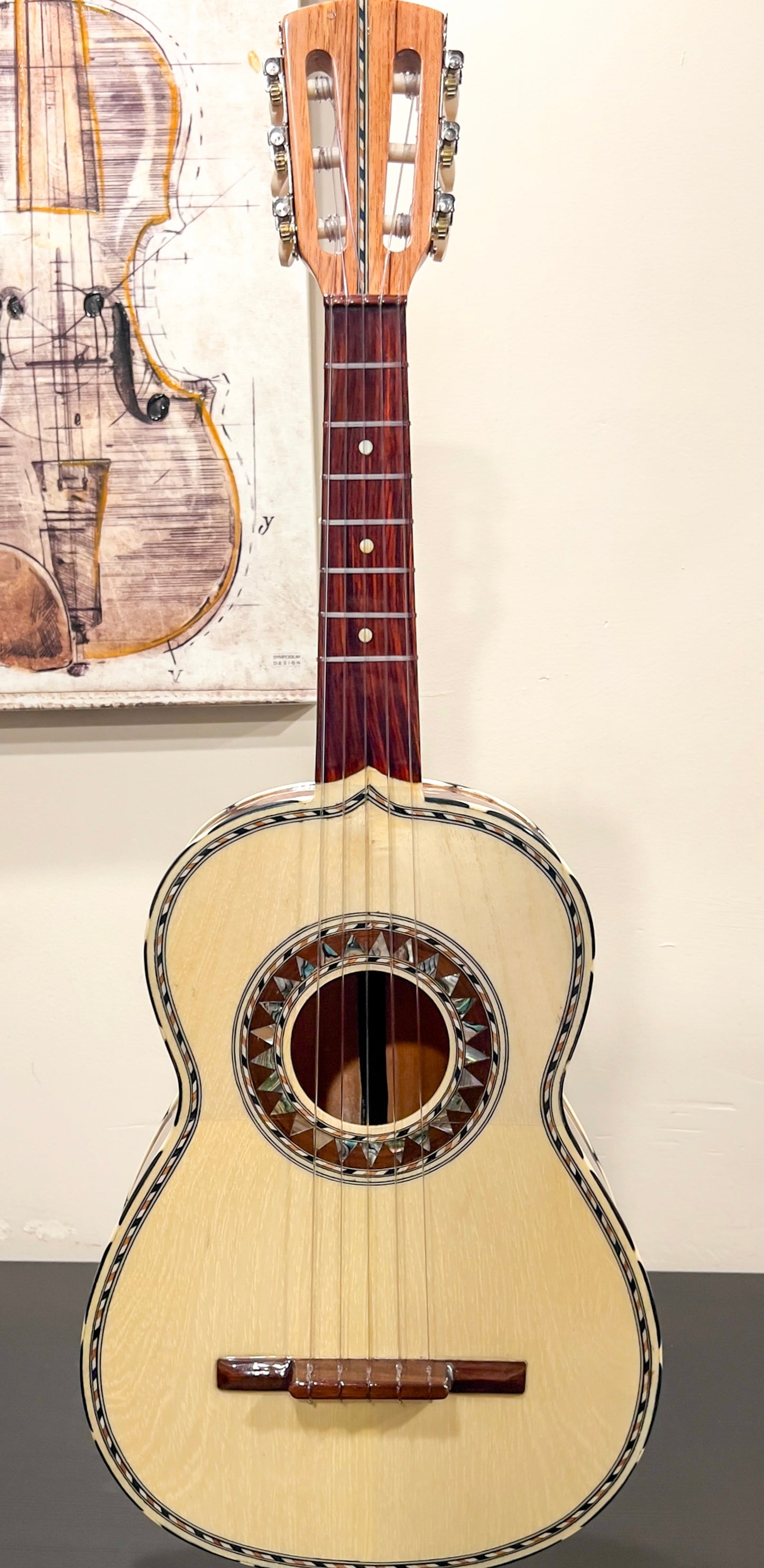 Vihuela Size 2 with Hard Case