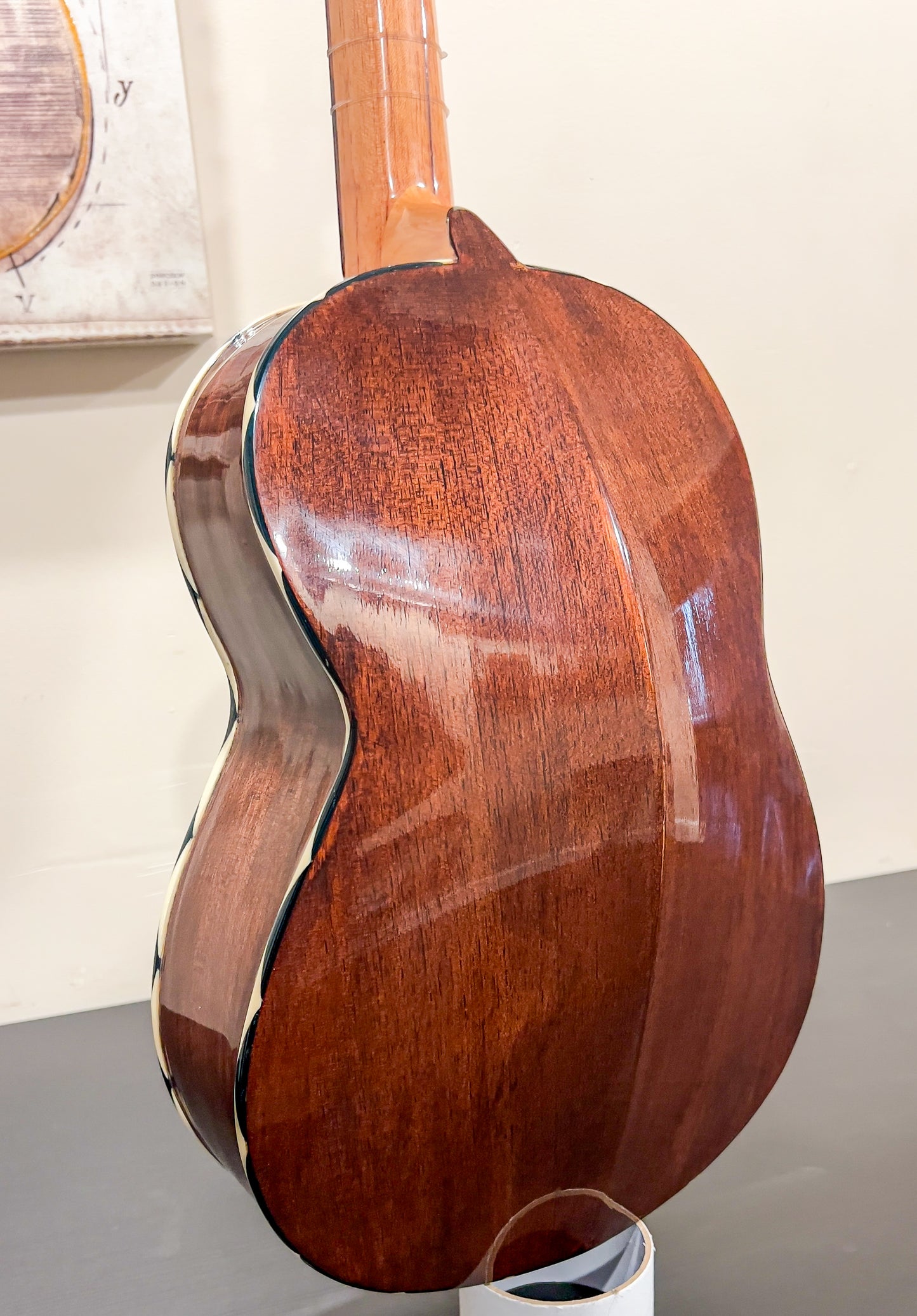 Vihuela Size 2 with Hard Case