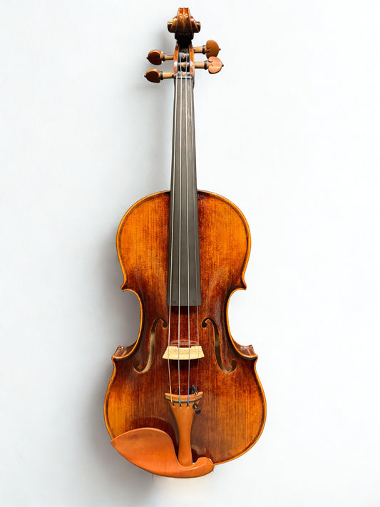 Maestro Violin Outfit