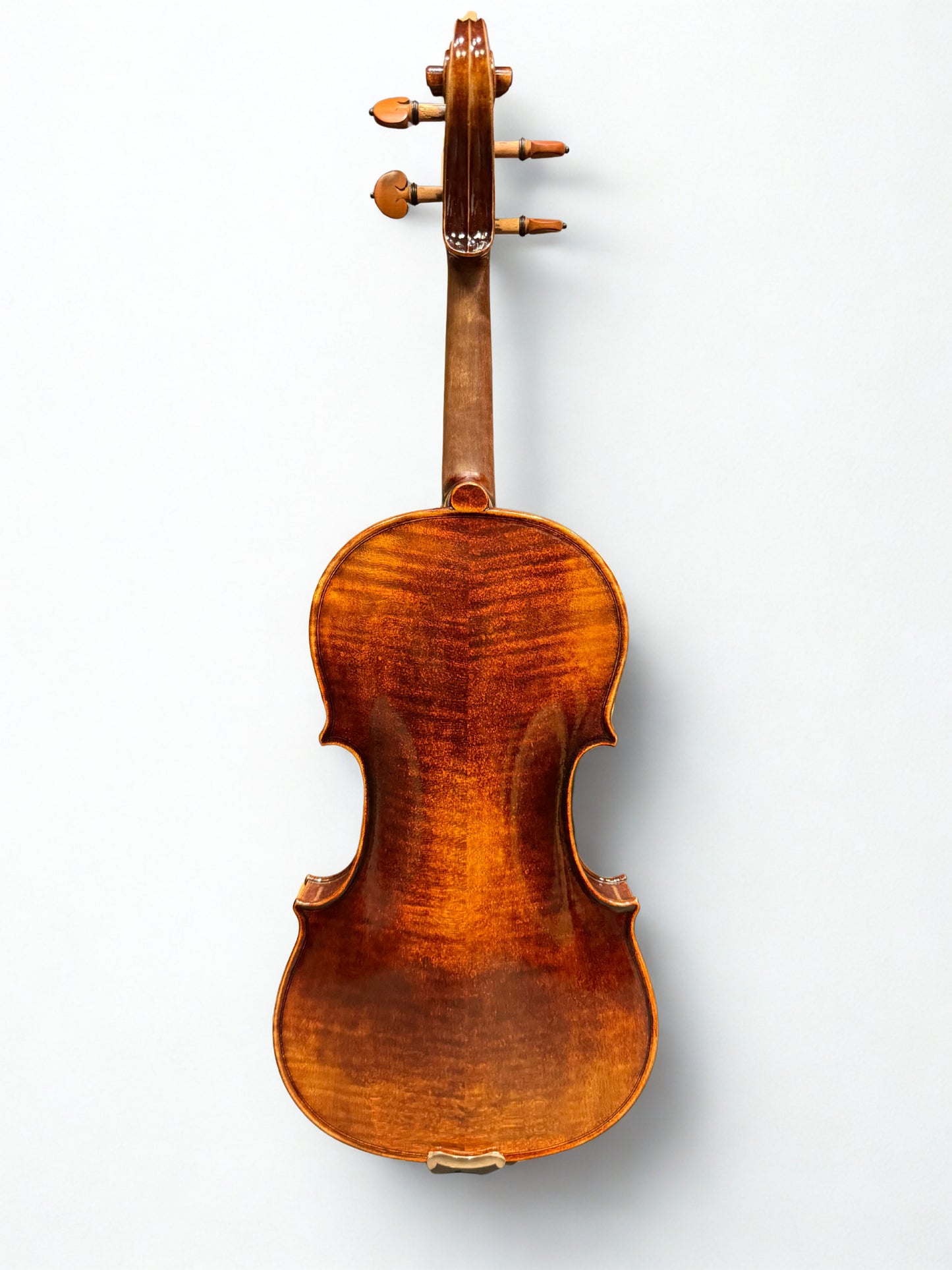 Maestro Violin Outfit
