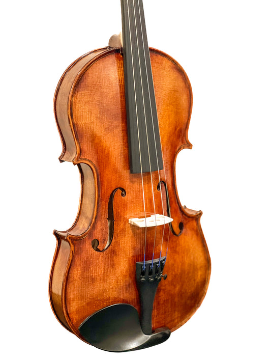 Allegro Violin Outfit